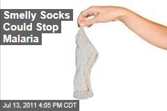 Smelly Socks Could Stop Malaria by Luring Mosquitoes Into Traps