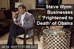 Steve Wynn: Business Afraid of Obama
