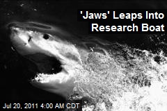 &#39;Jaws&#39; Leaps Into Research Boat