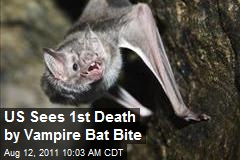 US Sees 1st Death by Vampire Bat Bite