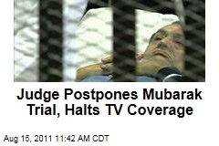 Judge Postpones Hosni Mubarak Trial, Halts Live TV Coverage