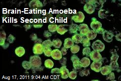 Brain-Eating Amoeba Kills Second Child