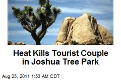 Heat Kills Tourist Couple in Joshua Tree Park
