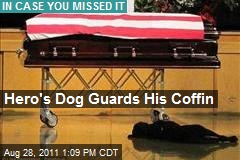 Hero&#39;s Dog Guards His Coffin