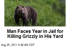 Man in Court for Killing Grizzly on Property