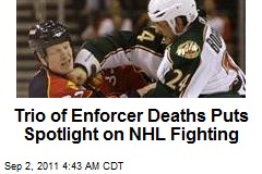 Trio of Enforcer Deaths Puts Spotlight on NHL Fighting