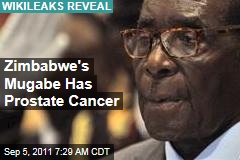 Zimbabwe's Robert Mugabe Has Prostate Cancer: WikiLeaks Diplomatic Cable