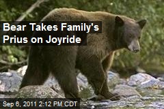 Bear Takes Family&#39;s Prius on Joyride