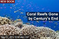 Coral Reefs Gone By Century&#39;s End