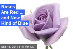 Roses Are Red ... and Now Kind of Blue