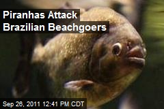Piranhas Attack Brazilian Beachgoers