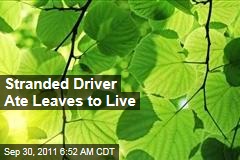 Stranded David Lavau Ate Leaves to Live