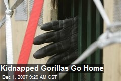 Kidnapped Gorillas Go Home