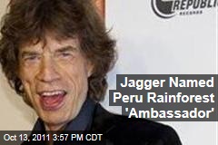 Rolling Stone Mick Jagger Dubbed Peru Rainforest 'Ambassador'