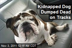 Kidnapped Dog Dumped Dead on Tracks