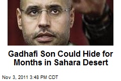 Gadhafi Son Could Hide for Months in Sahara Desert