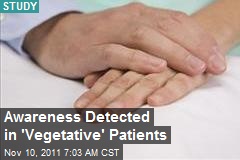 Awareness Detected in &#39;Vegetative&#39; Patients