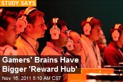 Gamers&#39; Brains Have Bigger &#39;Reward Hub&#39;
