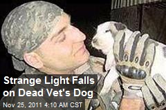 Strange Light Falls on Dead Vet&#39;s Dog
