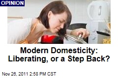 Modern Domesticity: Liberating Fun for Women, or the Death of Feminism?