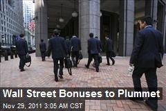 Wall Street Bonuses to Plunge