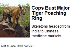 Cops Bust Major Tiger Poaching Ring