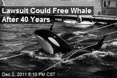 Lawsuit Could Free Whale After 40 Years