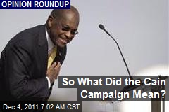 So What Did the Cain Campaign Mean?