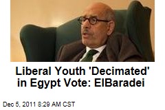 Mohamed ElBaradei: Liberal Youth Protesters 'Decimated' in Egypt Election