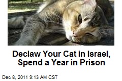 Declaw Your Cat in Israel, Spend a Year in Prison