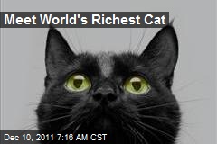 Meet World&#39;s Richest Cat