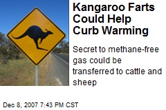 Kangaroo Farts Could Help Curb Warming