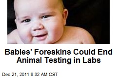Babies&#39; Foreskins Could End Animal Testing in Labs