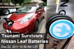 Tsunami Survivors: Nissan Leaf Batteries