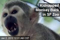 Kidnapped Monkey Back in SF Zoo