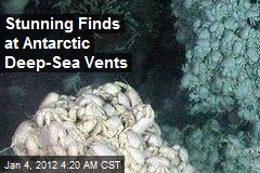 &#39;Riot of Life&#39; Found at Antarctic Deep-Sea Vents