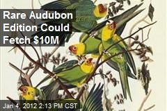 Rare Audubon Edition Could Fetch $10M