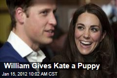 Prince William Gives Kate a Black Lab Puppy