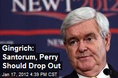 Gingrich: Santorum, Perry Should Drop Out