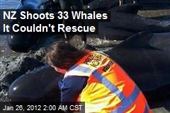 33 Restranded Whales to Be Killed