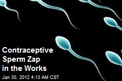 Contraceptive Sperm Zap in the Works