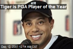 Tiger is PGA Player of the Year