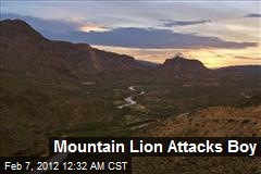 Mountain Lion Attacks Boy