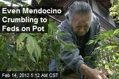 Even Mendocino Crumbling to Feds on Pot