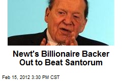 Newt&#39;s Billionaire Backer Out to Beat Santorum