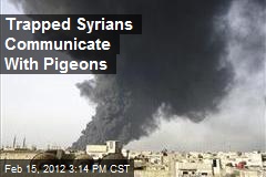 Trapped Syrians Communicate With Pigeons