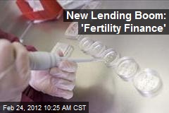 New Lending Boom: &#39;Fertility Finance&#39;