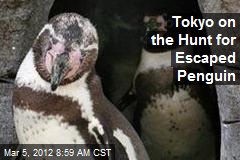 Tokyo on the Hunt for Escaped Penguin