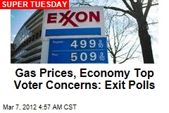Economy, Gas Prices Top Voter Concerns