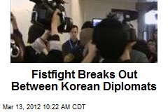 Fistfight Breaks Out Between Korean Diplomats